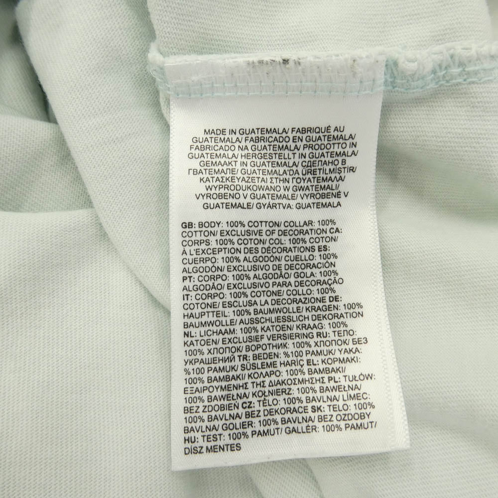 THE NORTH FACE ノースフェイス 5200187090 × KAWS TEE カウズ ロゴ エンブロイダリー クルーネック 半袖 Tシャツ カットソー ライトグリーン系 XL【中古】