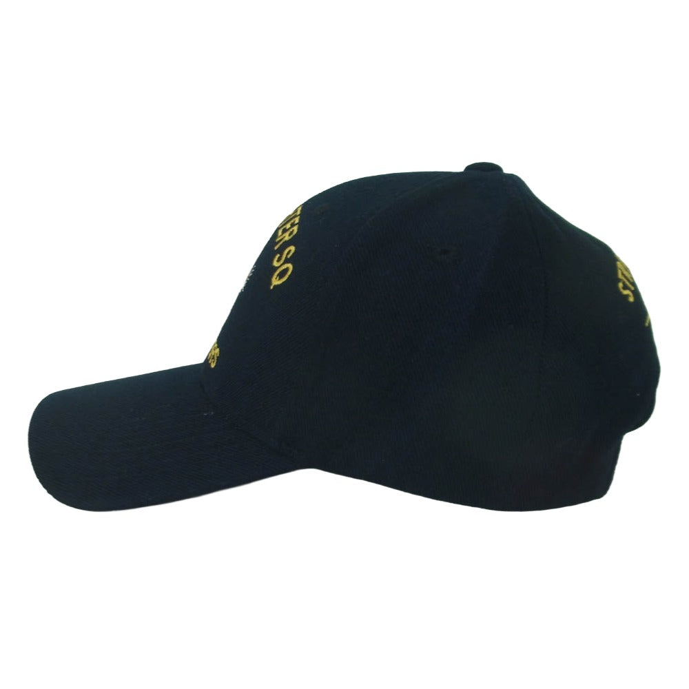 ミリタリー 391st Fighter Squadron CAP アメリカ空軍 第366戦闘航空団 第391戦闘飛行隊 キャップ 帽子 ブラック系 ONE SIZE【美品】【中古】