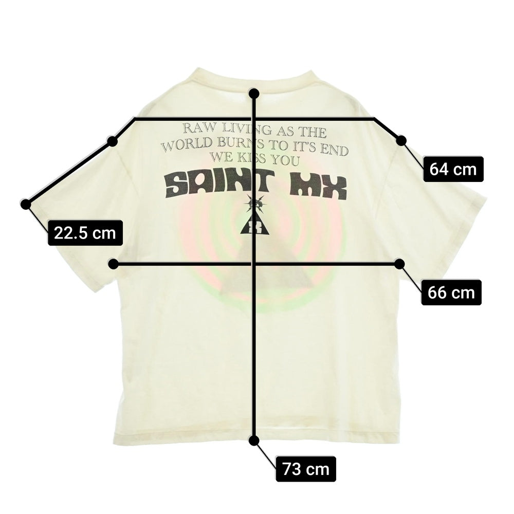 SAINT MICHAEL セントマイケル 25SS SM-HR8-0000-018 SAINT MX SS TEE WHITE ヴィンテージ加工 半袖Tシャツ ホワイト系 XXL【中古】