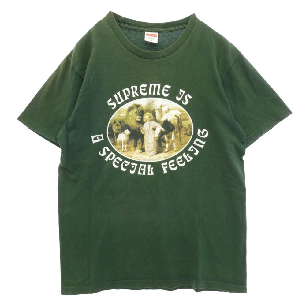 Supreme シュプリーム 16AW special feeling tee スペシャル フィーリング 半袖 Tシャツ カットソー グリーン系 M【中古】