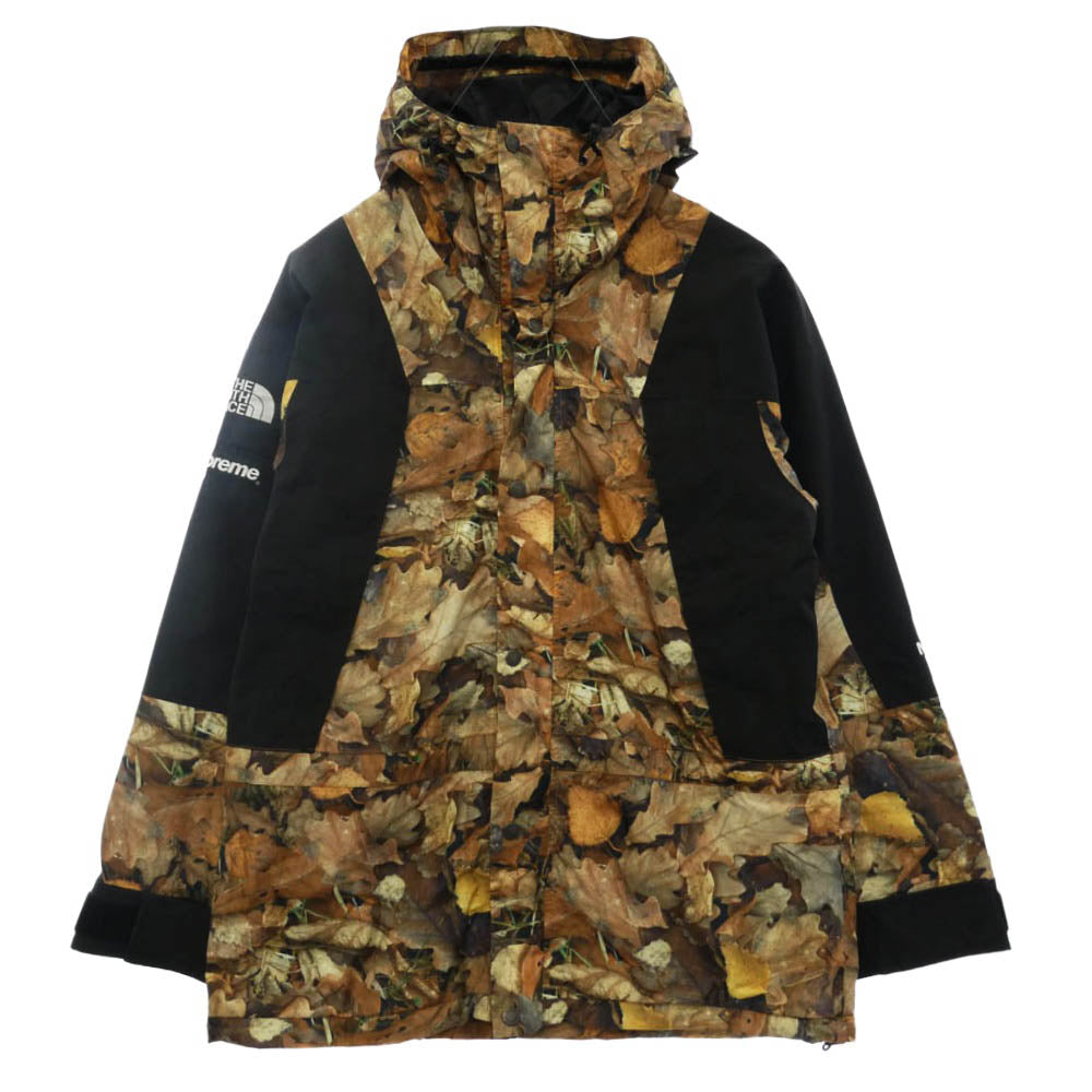 THE NORTH FACE ノースフェイス NP15105 Mountain Jacket GORE-TEX