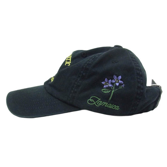 PALACE パレス 25AW ATHLETUC 6-PANEL CAP アスレチック 6パネル キャップ 帽子 ブラック系【中古】