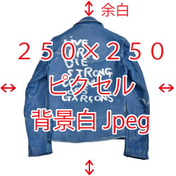 代表的なモデル名を英語表記 画像