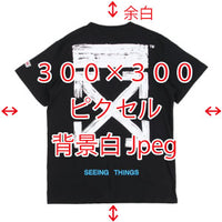 モデル名入力（例：18SS Hoodie 画像