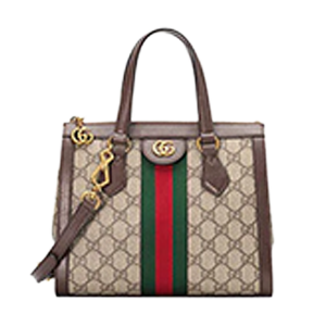 Ophidia Small GG Tote Bag 画像