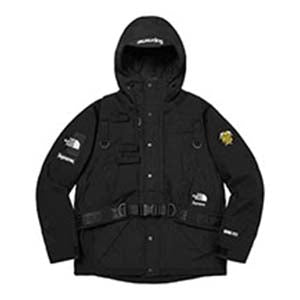 ノースフェイス(THE NORTH FACE)の古着・中古通販｜ブランド買取販売店
