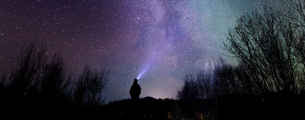 クロムハーツについて 画像