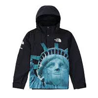 19AW Statue of Liberty Mountain Jacket 画像
