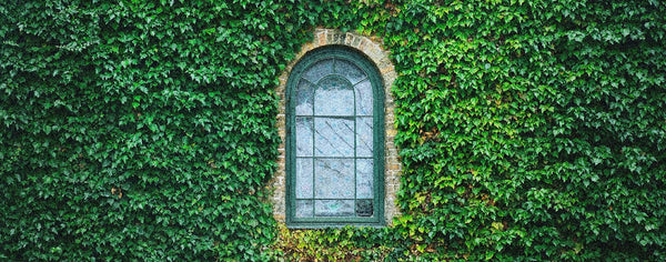 ビズビム visvimについて 画像