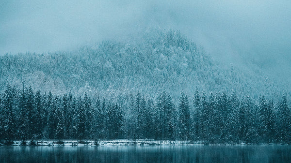 カナダグースについて 画像