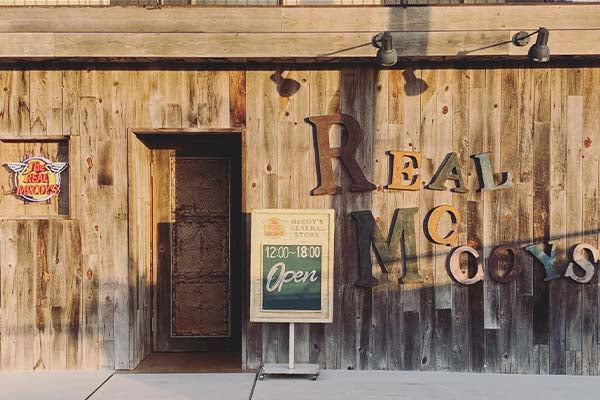 リアルマッコイズについて 画像