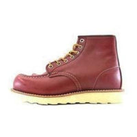 9876 IRISH SETTER 画像