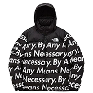 シュプリーム 15AW × THE NORTH FACE Nuptse Jacket 画像