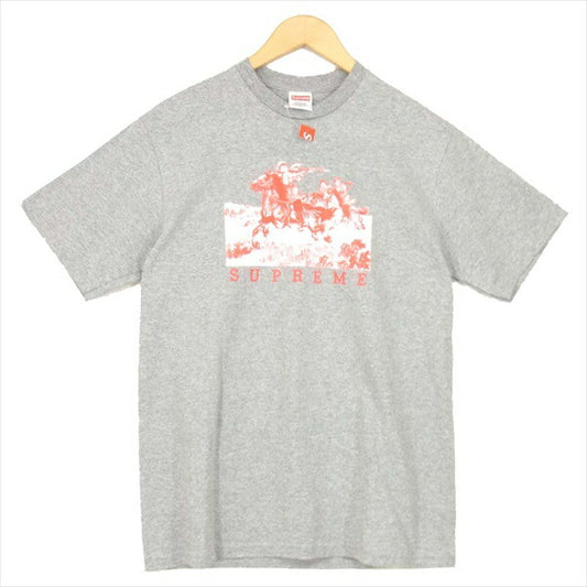 Supreme シュプリーム 19SS Riders Tee ライダース プリント 半袖 コットン アメリカ製 グレー系 Ｓ【新古品】【未使用】【中古】