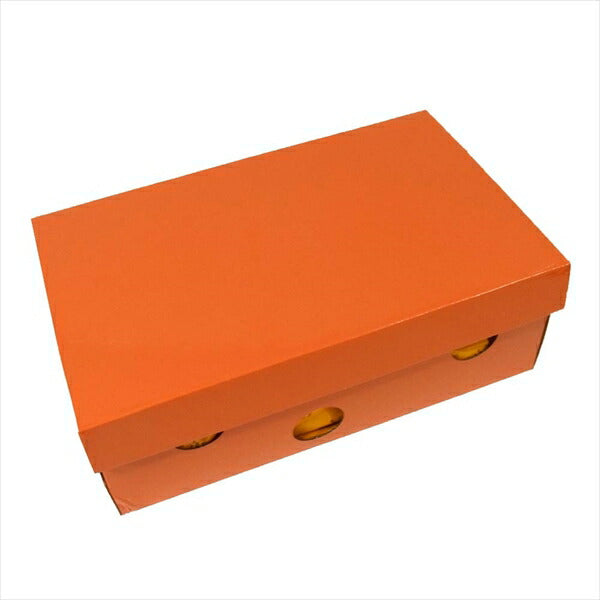 OFF-WHITE オフホワイト × NIKE ナイキ CD8180-400 ワッフルレーサー レディース スニーカー 水色系 24cm【美品】【中古】