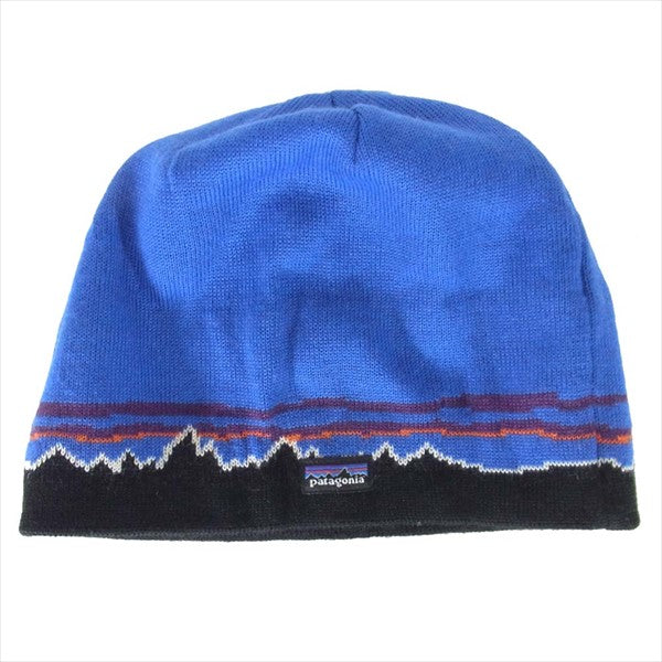 patagonia パタゴニア 28838 雪山 ビーニー アクリル ウール ロゴ ニットキャップ ブルー系 ONE【中古】