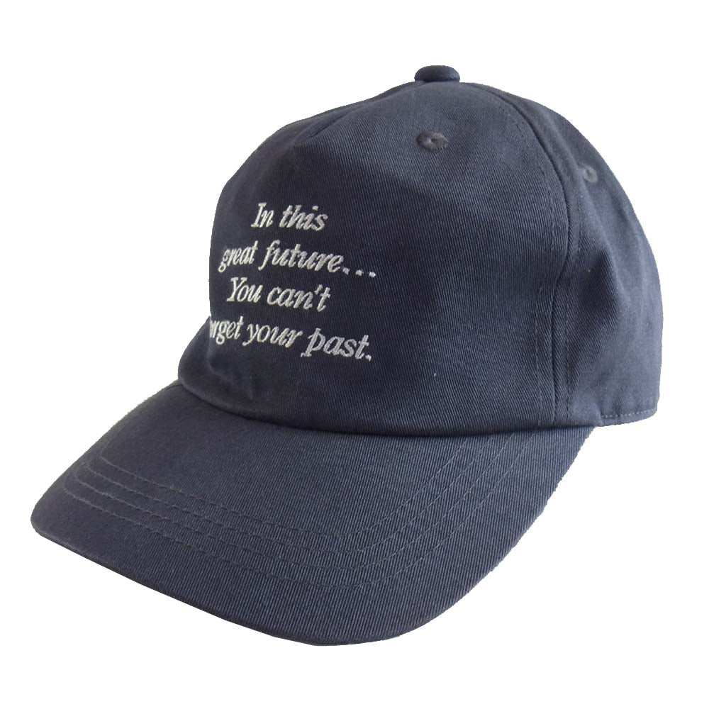 STUSSY ステューシー キャップ グレー系【中古】