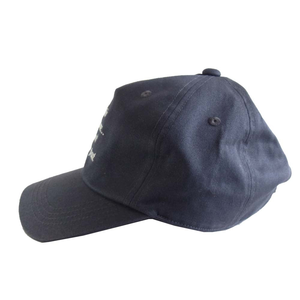 STUSSY ステューシー キャップ グレー系【中古】