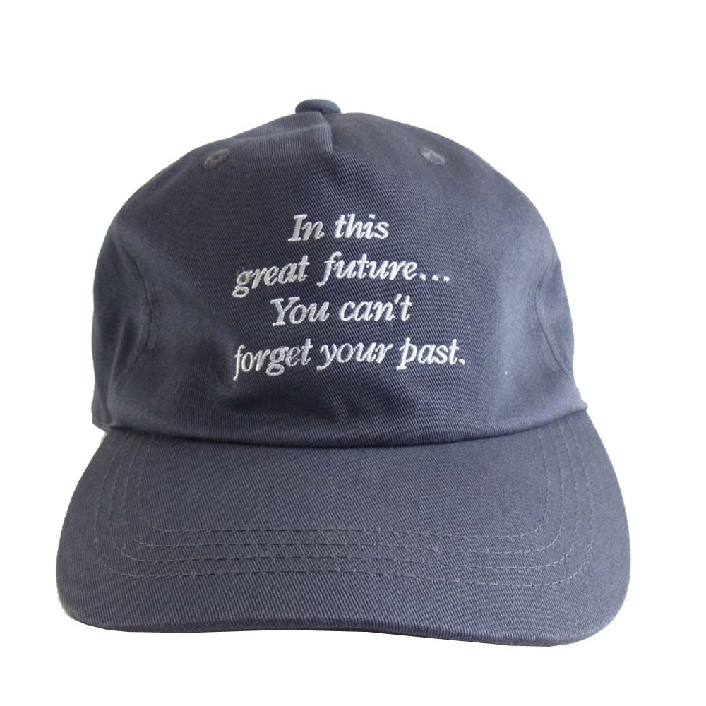 STUSSY ステューシー キャップ グレー系【中古】