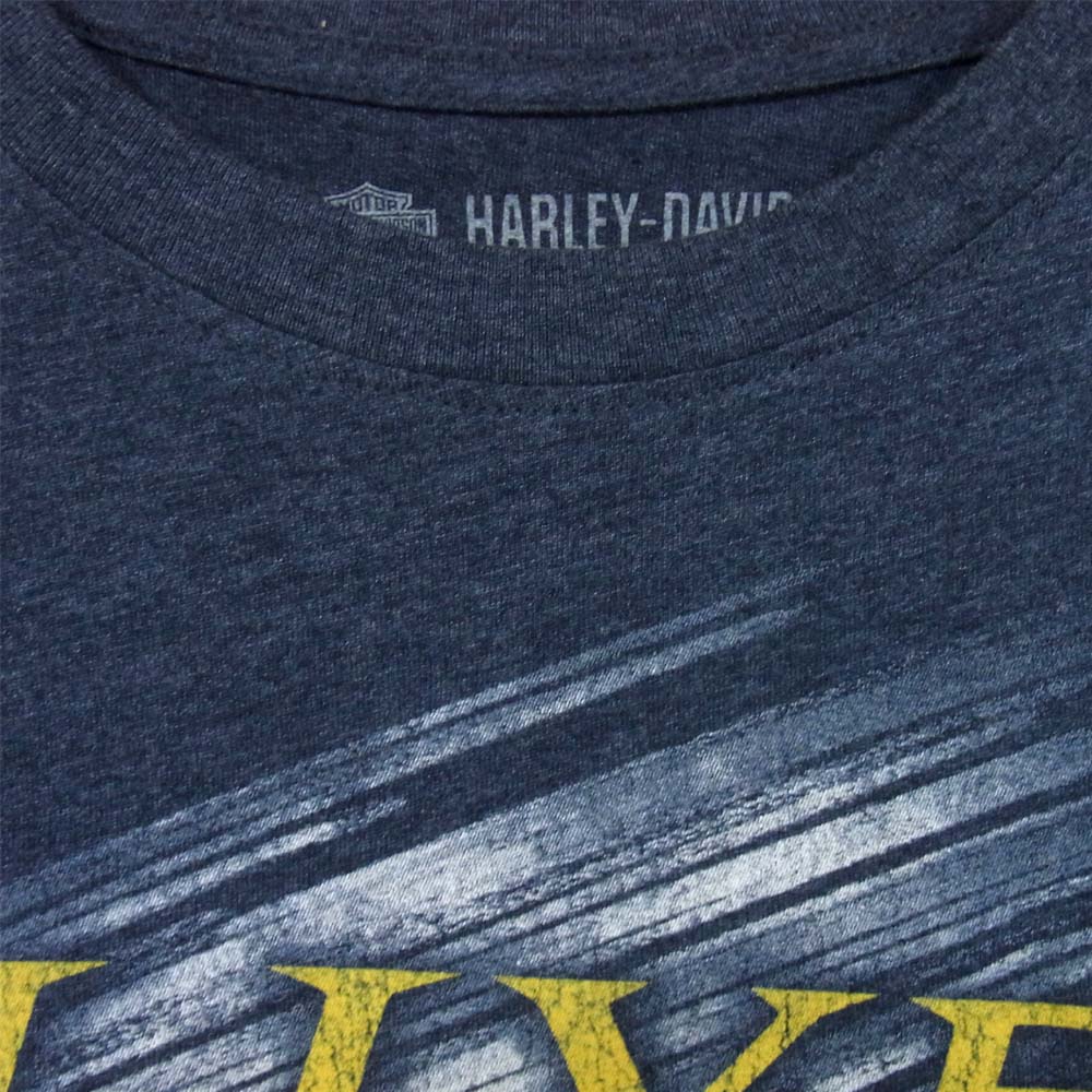 HARLEY DAVIDSON ハーレーダビッドソン イーグル プリント 長袖 Tシャツ チャコール系 S【中古】