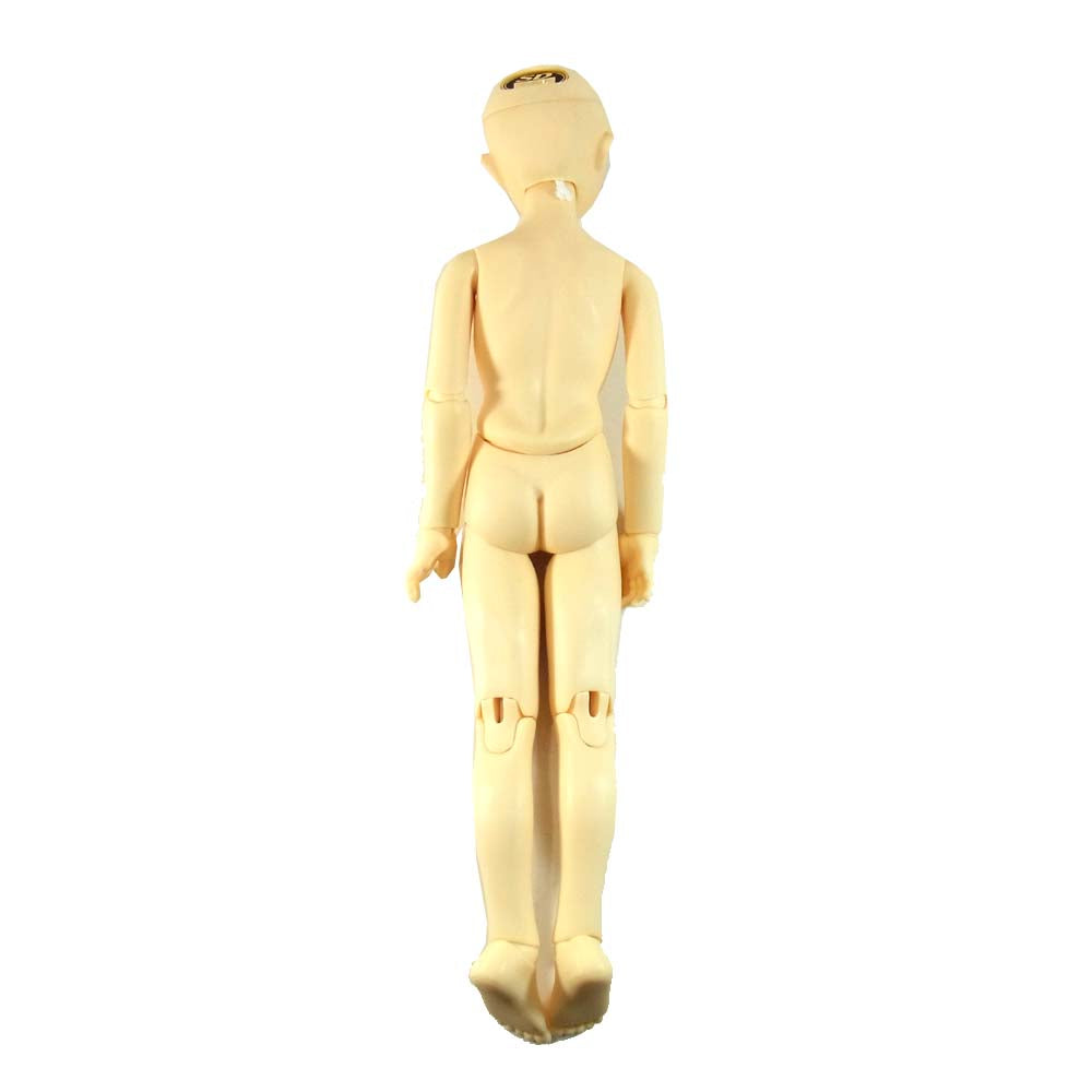 VOLKS スーパードルフィー CN-MODEL SDM コーディネートモデル ドール【中古】