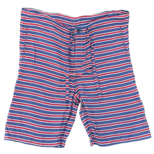 COMME des GARCONS HOMME PLUS コムデギャルソンオムプリュス 19SS PC-P076 AD18 アセテート レーヨン ボーダー ショート パンツ ネイビー×エンジ系 XS【中古】