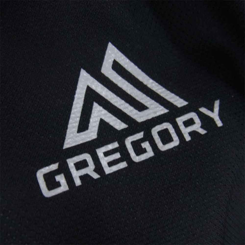 GREGORY グレゴリー バックパック ブラック系【中古】