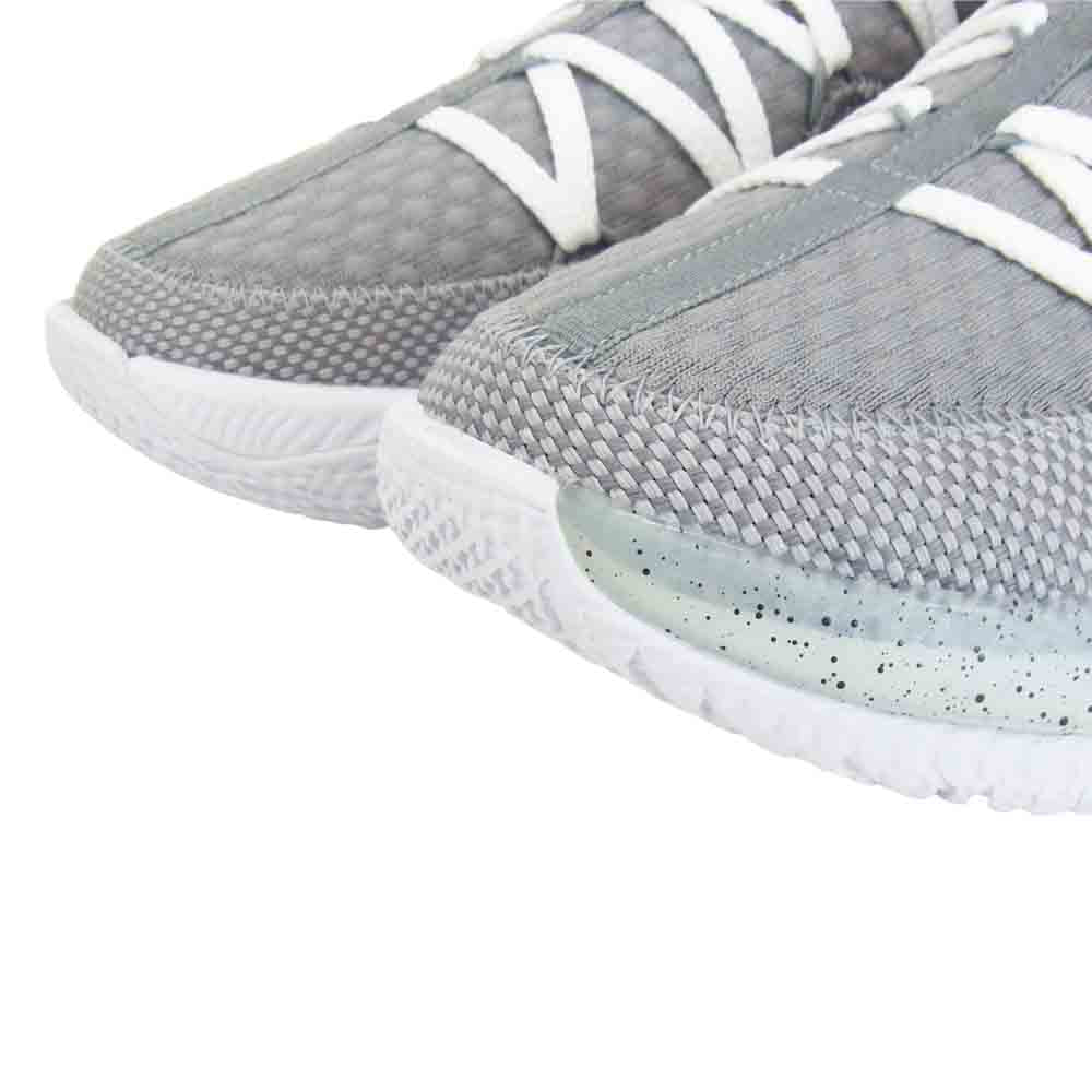 NIKE ナイキ CD5007-004 Lebron XVII Low レブロン 17 ロー スニーカー グレー系 28cm【新古品】【未使用】【中古】