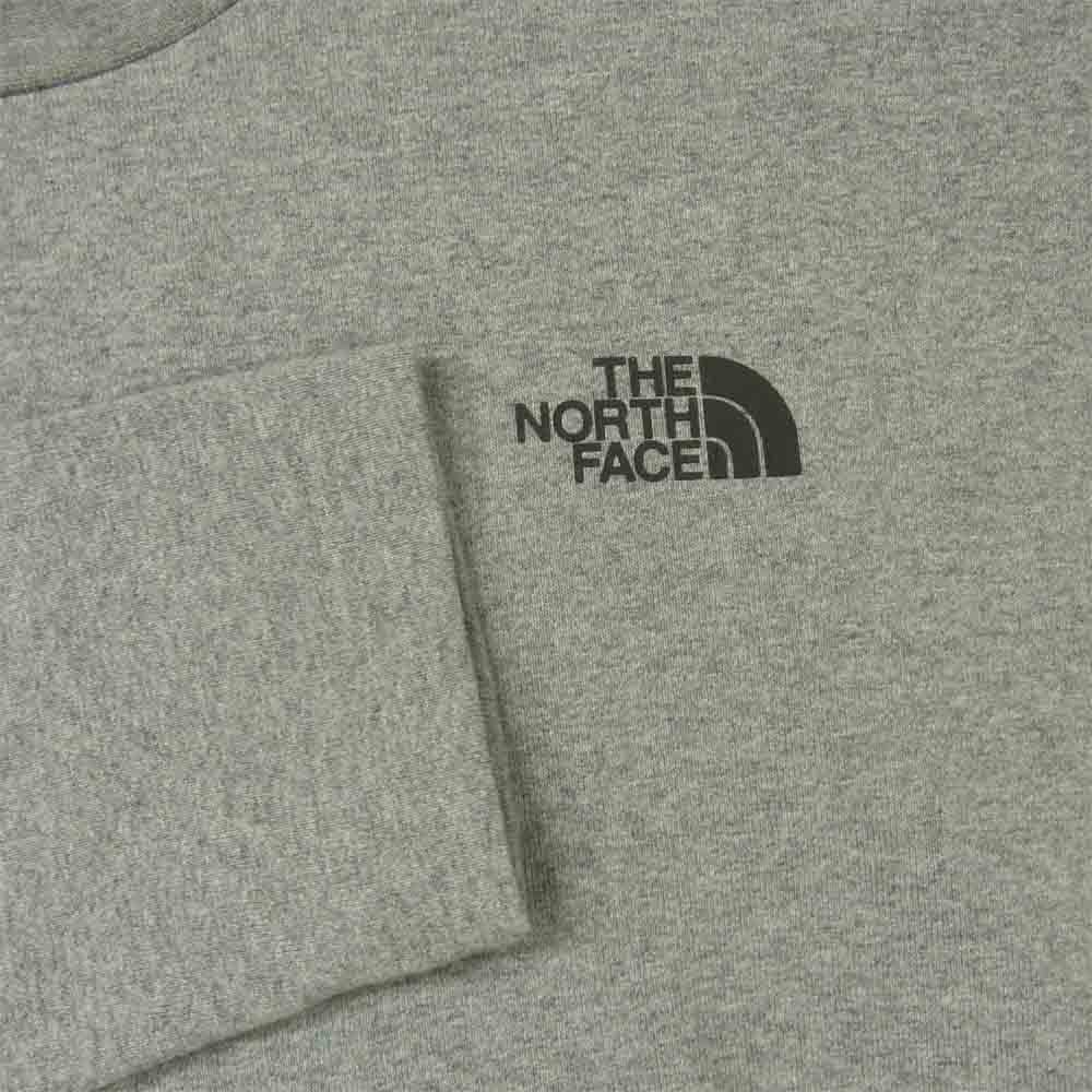 THE NORTH FACE ノースフェイス NT82032 L/S Tested Proven Tee 長袖 Tシャツ コットン 中国製 グレー系 M【中古】