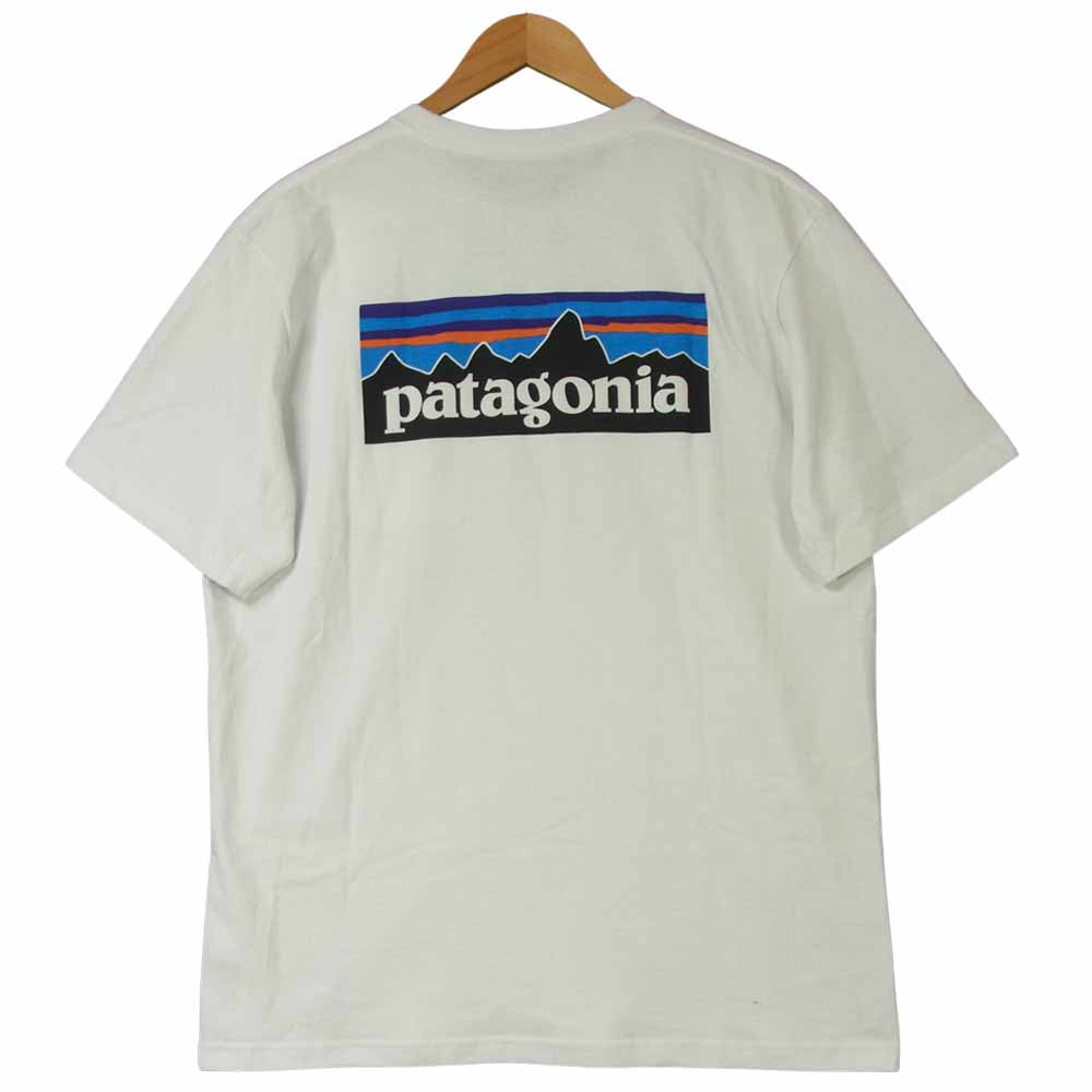 patagonia パタゴニア 19AW 39178SP19 P-?6 Logo Pocket Responsibili ...