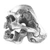 RAT RACE ラットレース STANDARD SKULL RING スタンダード スカル リング シルバー系 16～17号程度【中古】