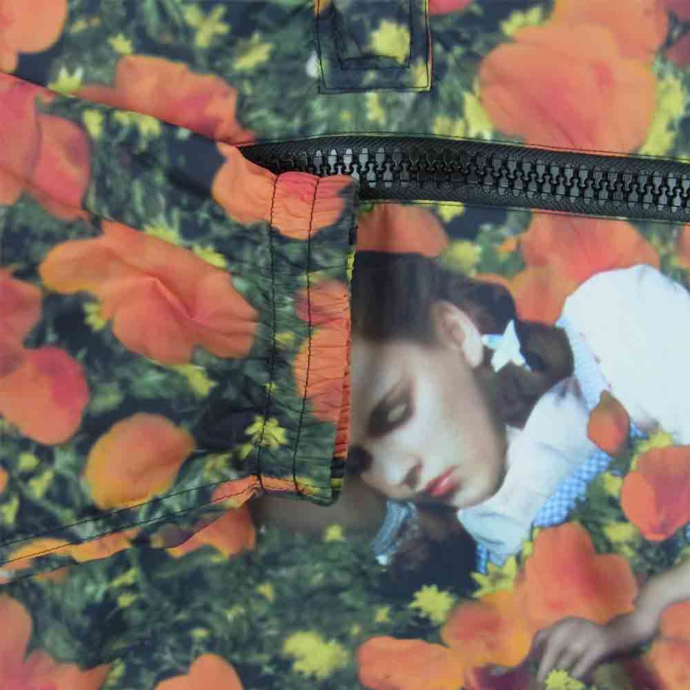 LOUIS VUITTON ルイ・ヴィトン 19SS HGB65WLTX 国内正規品 Poppy Dorothy Graphic Windbreaker ポピー ドロシー グラフィック ウィンドブレーカー グリーン系 レッド系 50【中古】