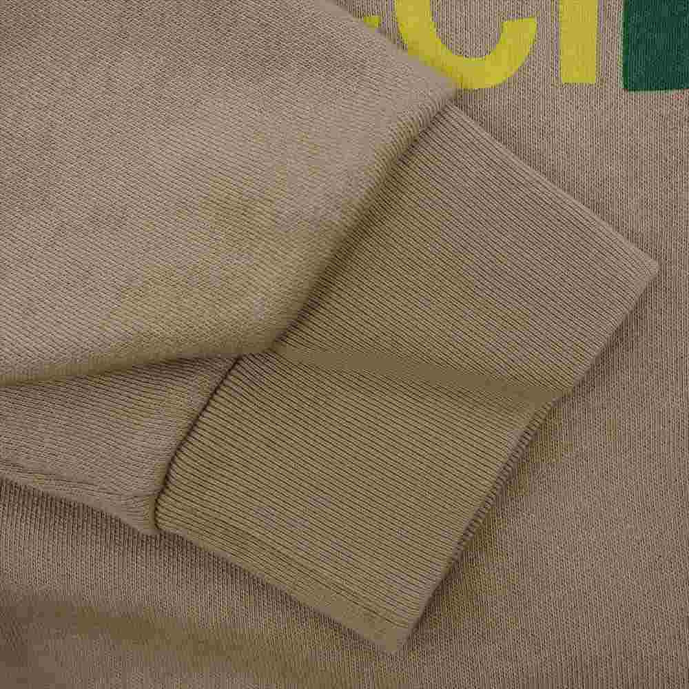 GUCCI グッチ 615061 XJDBY THE NORTHFACE ノースフェイス 国内正規品 フロント ロゴ プルオーバー パーカー ブラウン系 L【美品】【中古】