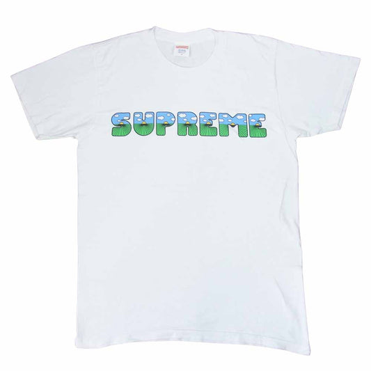 Supreme シュプリーム 16SS THIS IS THE SHIT TEE ロゴ プリント 半袖 Tシャツ  ホワイト系 M【中古】