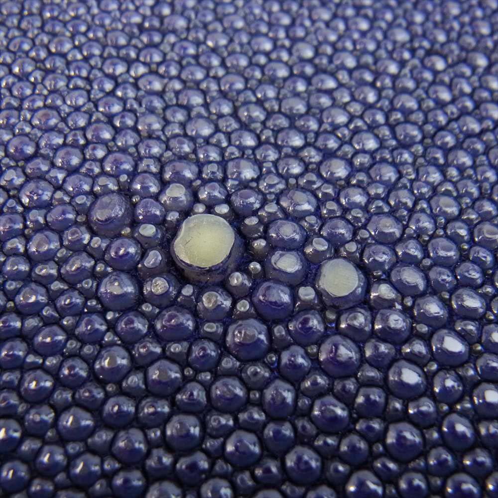 GABOR ガボール 購入時証明書付属 生前 スティングレイ ウォレット【中古】