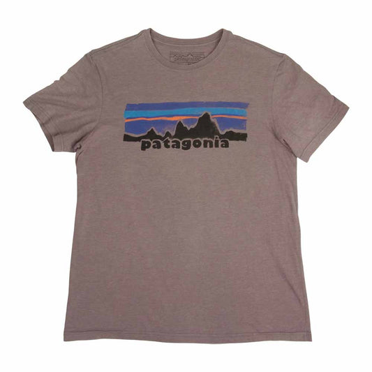 patagonia パタゴニア 15SS 38621 Legacy Label Cotton Polo T-shirt レガシー レーベル Tシャツ パープル系 M【中古】