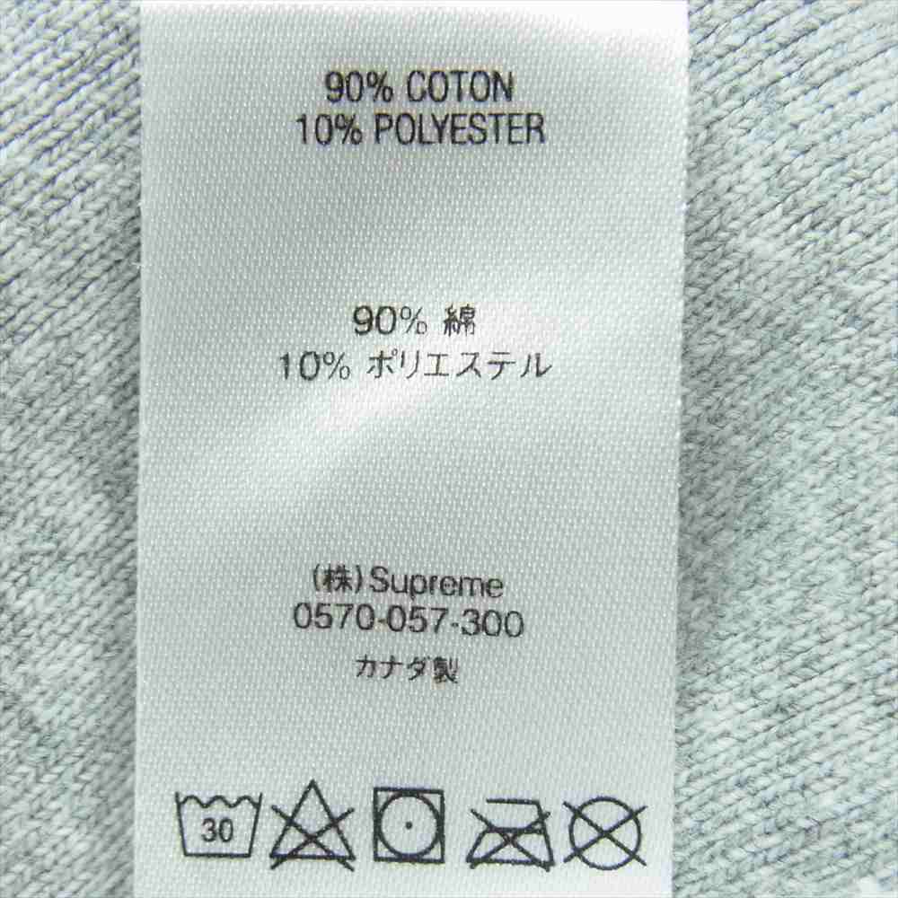 Supreme シュプリーム 20AW Portrait Hooded Sweatshirt ポートレート スウェット パーカー グレー系【美品】【中古】