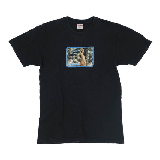 Supreme シュプリーム 17SS Larry Clark Girl Tee ラリークラークガール プリント 半袖 Ｔシャツ ブラック系 M【中古】