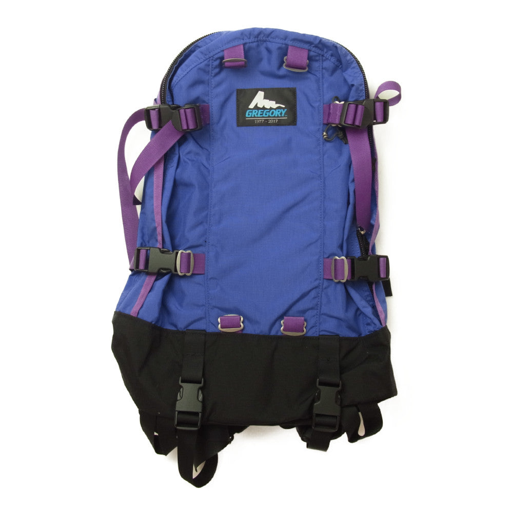 GREGORY グレゴリー 40周年 限定 復刻 青文字タグ DAY＆HALF PACK BLUE LETTER デイアンドハーフ ブルー バックパック リュック パープル系【美品】【中古】