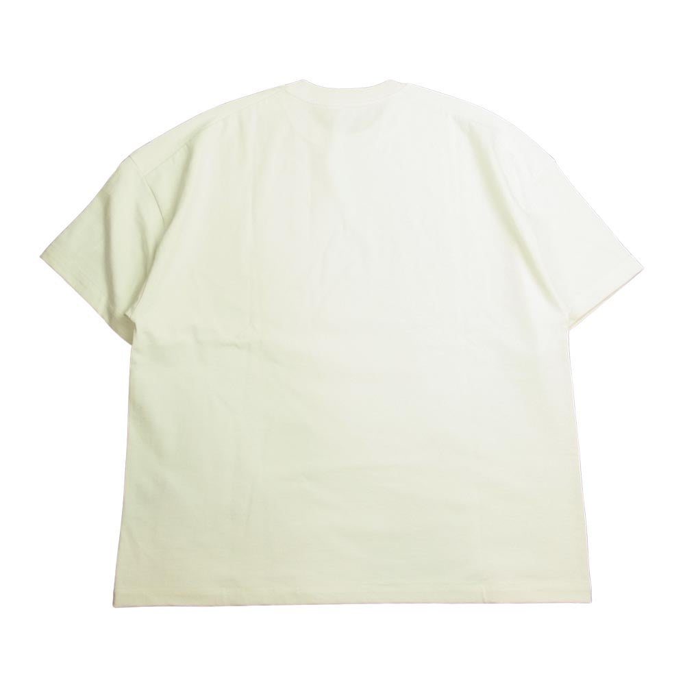 JIL SANDER ジルサンダー JSXU707020 WU248508 タイガーコレクション 水彩画 虎プリント 半袖 Tシャツ ホワイト系 XS【極上美品】【中古】