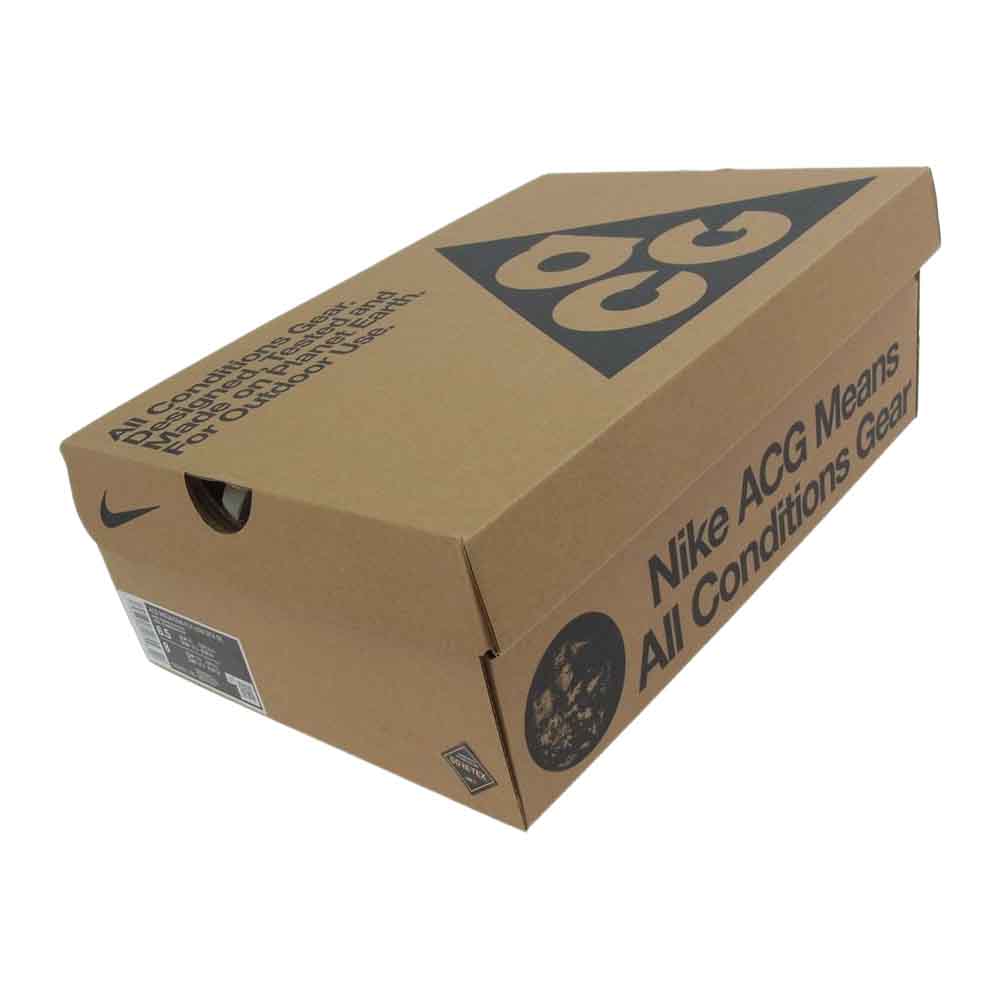 NIKE ナイキ DD2861-200 ACG Mountain Fly Low Gore-Tex SE マウンテン フライ ロー ゴアテックス マルチカラー系 US 6.5【中古】