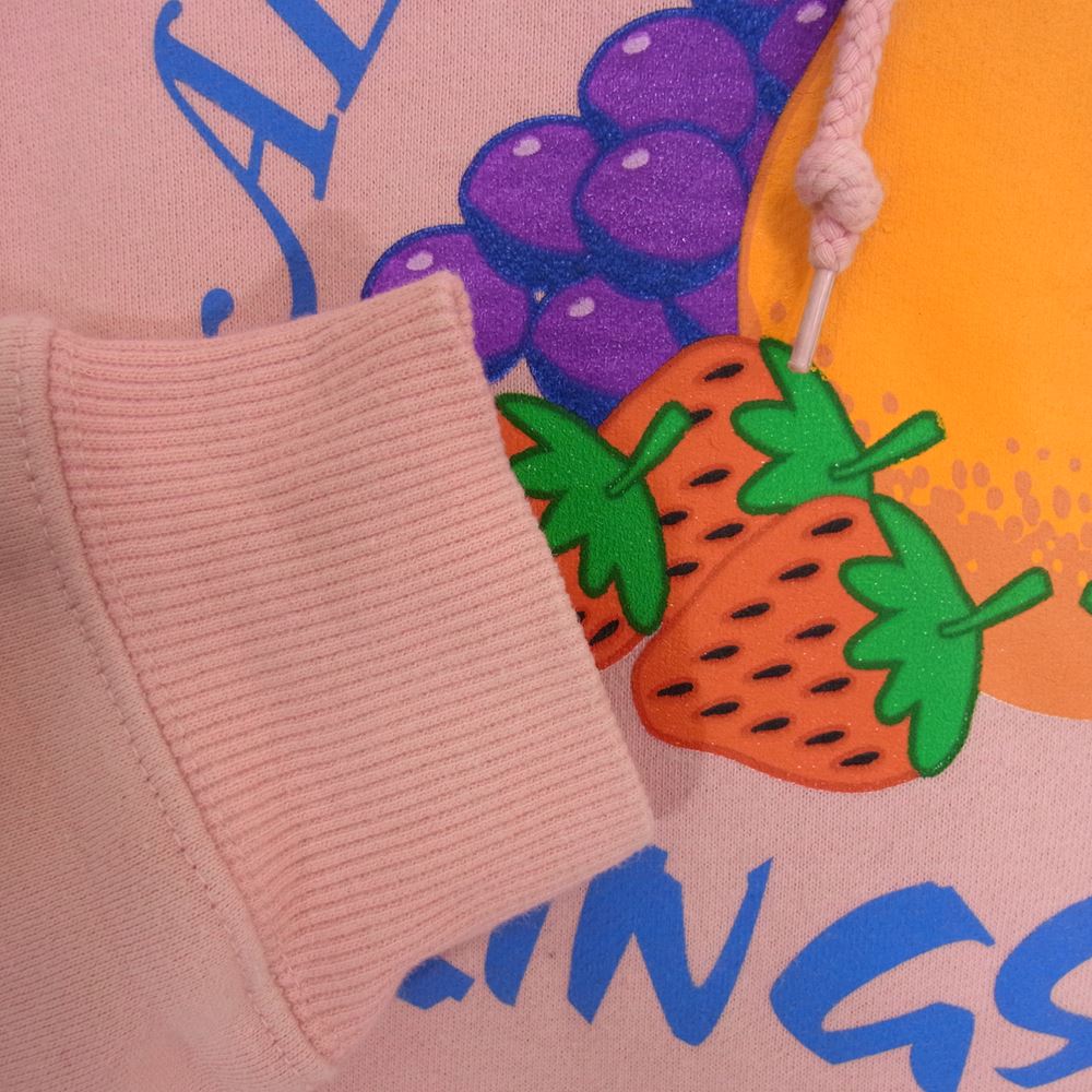 STUSSY ステューシー All Fruits Ripe Hood フーディ スウェット パーカー ピンク系 S【中古】