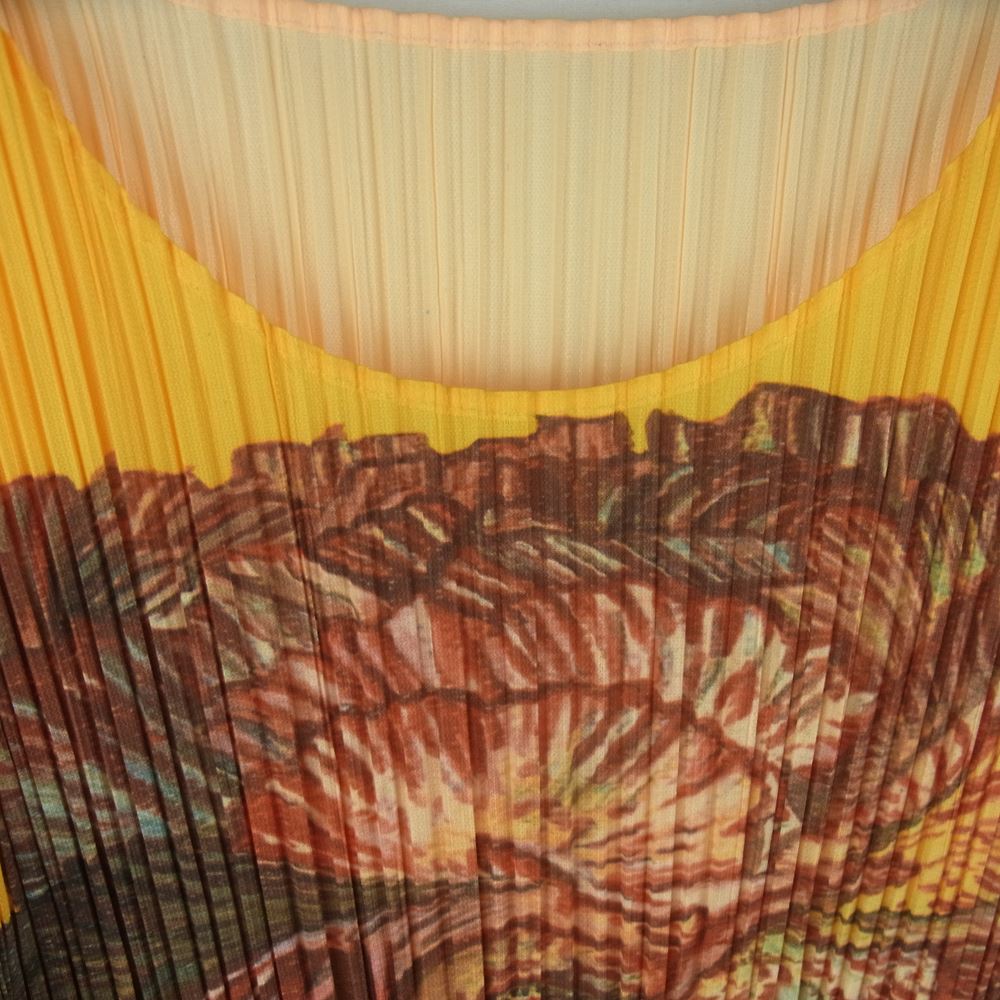 PLEATS PLEASE プリーツプリーズ イッセイミヤケ PP06-JK110 プリーツ加工 カーネーション フラワー 転写 カットソー 半袖 イエロー系 3【美品】【中古】