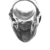 GABOR ガボール 購入時ギャランティ付属 ガボラトリー Large Skull Ring with Jaw Gクラウン フルヘッド スカル リング シルバー系 17.5号程度【中古】