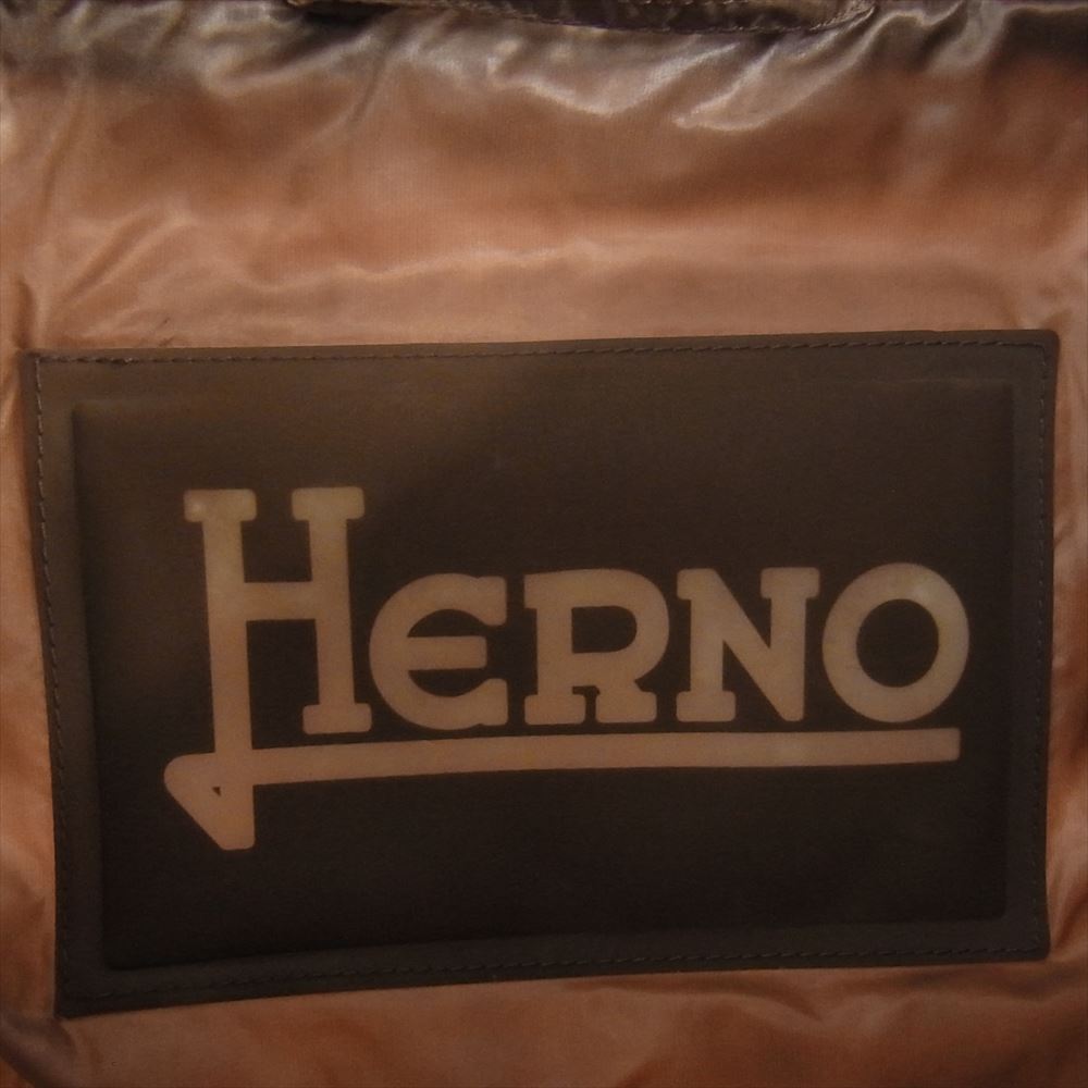 Herno ヘルノ 3301-529-10 LAVJAP  スタンドカラー ダウンコート ブラウン系 46【中古】