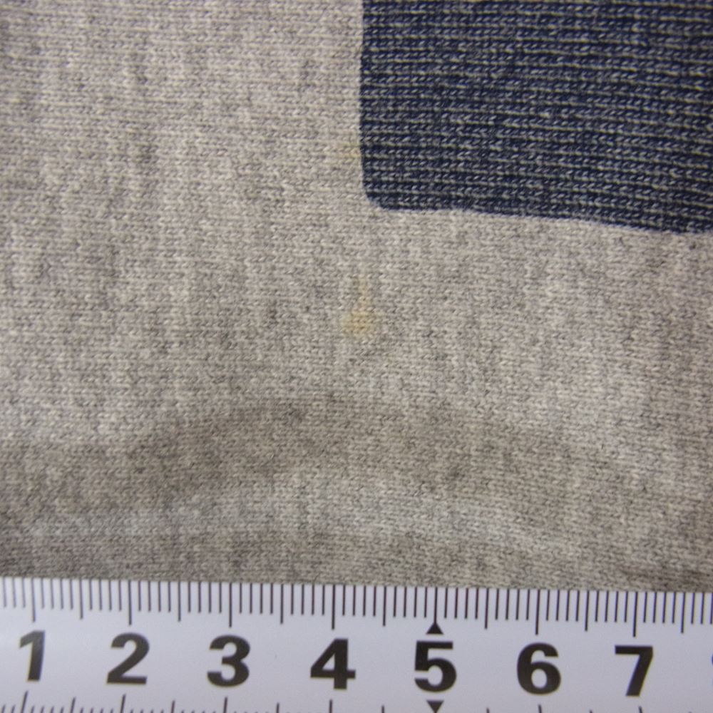 Champion チャンピオン REVERSE WEAVE 染み込みプリント スウェット トレーナー グレー系 M【中古】