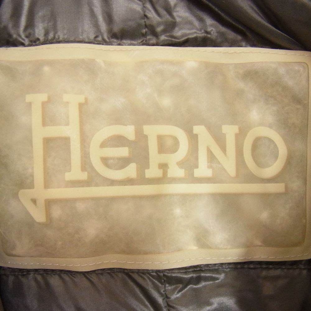 Herno ヘルノ 21138DP ファー付き ダウンジャケット グレー系 44【中古】
