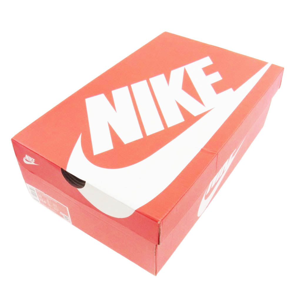 NIKE ナイキ DQ8800-200 DUNK HI RETRO PRM ダンク ハイ レトロ プレミアム ピーカン スニーカー ホワイト系 ブラウン系 30cm【新古品】【未使用】【中古】