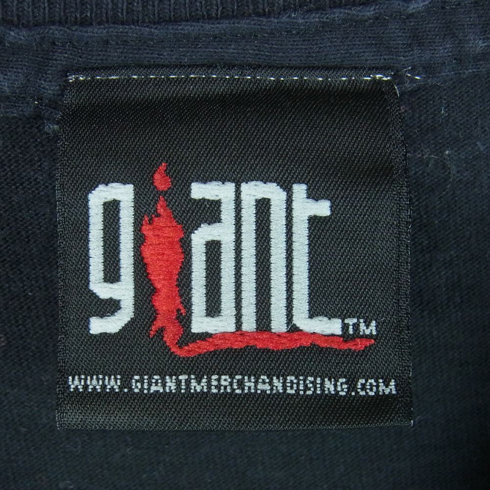 ヴィンテージ 90s giant TOOL 1999 OFFICIAL PROMO PILL CAPSULE LOGO ALIEN BRAIN 半袖 Tシャツ ダークグレー系 S【中古】