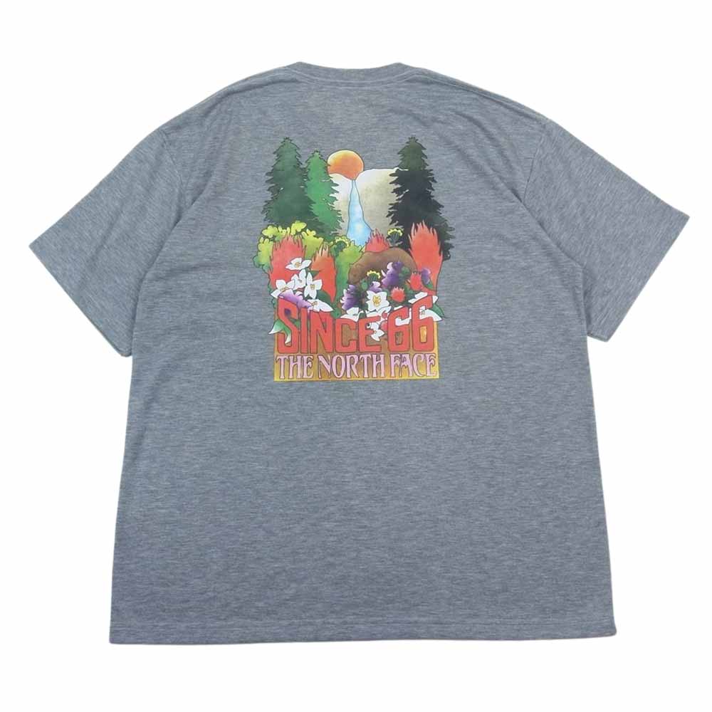 THE NORTH FACE ノースフェイス NT32105 ヨセミテフォールティ 半袖 Tシャツ グレー系 XL【中古】